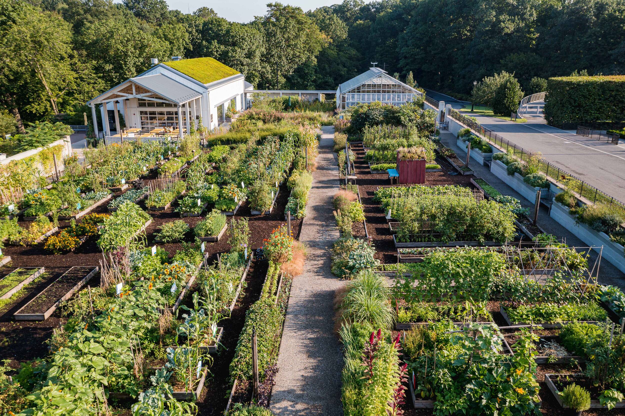 Edible Academy, NYBG