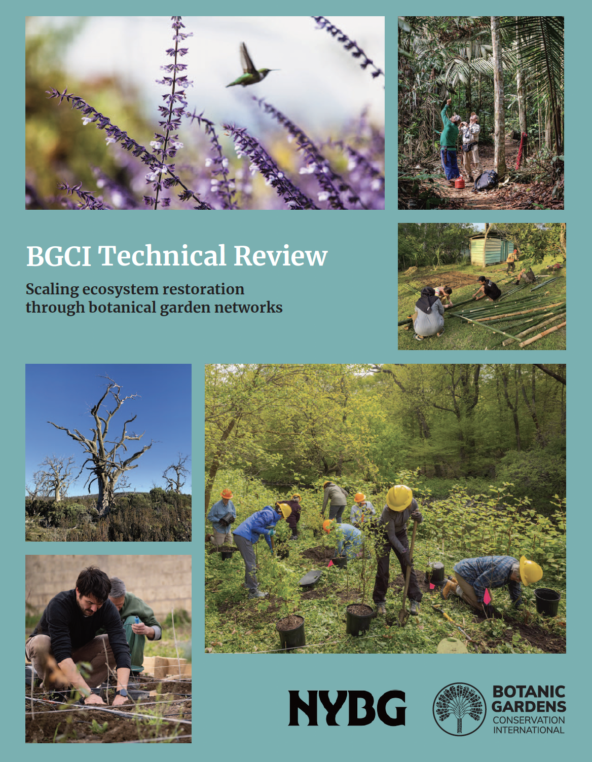 Cover of the BGCI Technical Review 2026: Scaling Ecosystem Restoration Through Botanical Garden Networks.